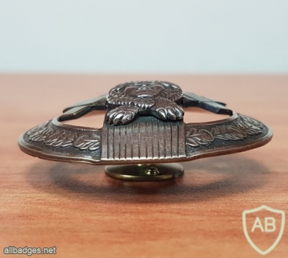 Latvian Special Tasks Unit cap badge img30062