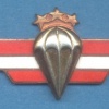 LATVIA Parchutist wings, II Class (silver), wrong color, obsolete