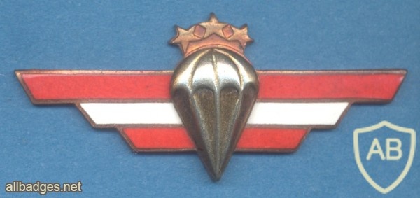 LATVIA Parchutist wings, II Class (silver), wrong color, obsolete img30058