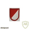 1st Squadron (RSTA) 91st Cavalry Regiment 173rd Airborne Brigade