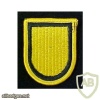 1st Special Forces Group