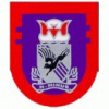 2nd Squadron 505th Airborne Infantry Regiment