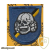 5-19 MI Det SOTA Special Forces Airborne