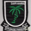 5th Special Forces Group (Airborne), Saudi Arabia Operation img30295
