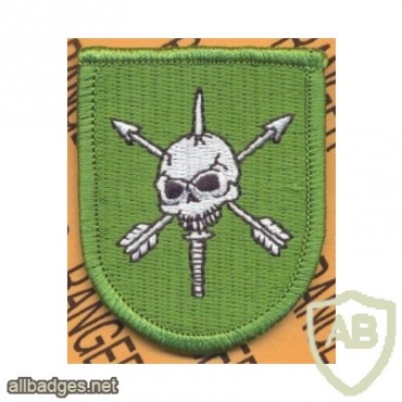 10th SPECIAL FORCES GROUP img30363