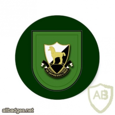 10th SPECIAL FORCES GROUP img30366