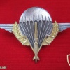 CHAD parachutist qualification wings img30395