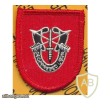 7th Special Forces Gp Airborne 