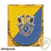 8th Special Forces Gp Airborne img30353