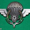 Niger Parachutist wings img30399