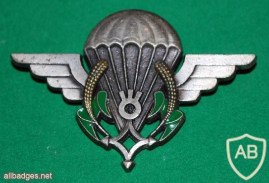 Niger Parachutist wings img30399