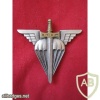 FRANCE School of Airborne Troops (ETAP) badge