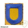 40th Infantry Division BIP