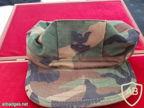 כובע עבודה צבא ארצות הברית img30894