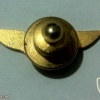 Pilot wings - Golden img30993