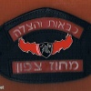 A leather emblem for a north district firefighter helmet img31023