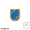 163rd Cav Inf Airborne Ranger LRRP LRS. 163rd Military Intelligence Battalion LRSD img31058