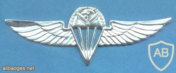 UGANDA Airborne Parachute jump wings, shiny silver img31084