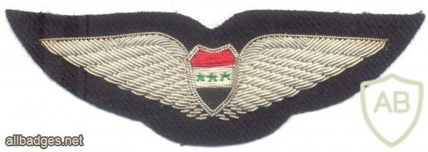 IRAQ Air Force Pilot wings, bullion img31083