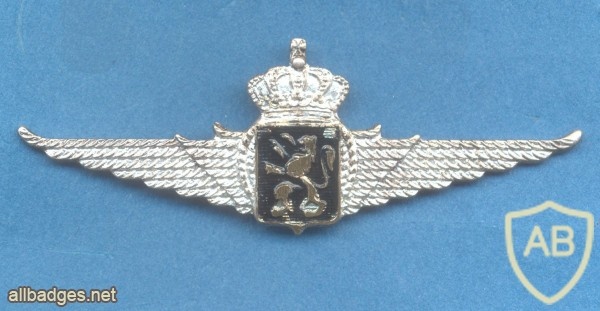 BELGIUM Air Force flight hat / beret badge, silver for NCOs img31086