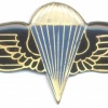 IRAQ Airborne Parachute jump wings, blue and black img31082