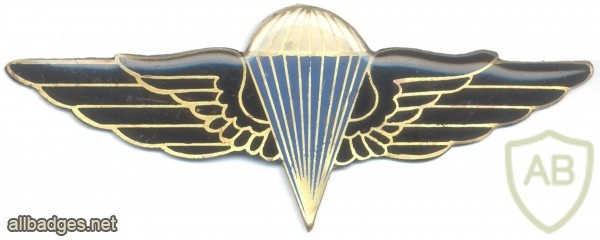 IRAQ Airborne Parachute jump wings, blue and black img31082