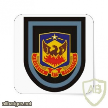 173rd special troops battalion airborne img31071