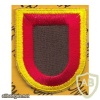 321st Field Artillery Regt Airborne 82nd Airborne Division img31197