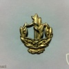 דרגת צווארון רב סמל ראשון מתקדם (רס"מ) - חיל הים. img31227