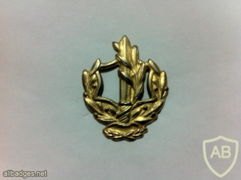 דרגת צווארון רב סמל ראשון מתקדם (רס"מ) - חיל הים. img31227
