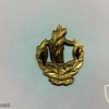 דרגת צווארון רס''מ ( רב סמל מתקדם ) - חיל הים. img31228