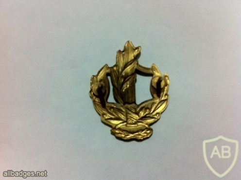 דרגת צווארון רב סמל ראשון מתקדם (רס"מ) - חיל הים. img31228