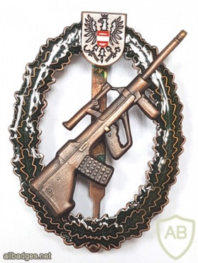 AUSTRIA Army (Bundesheer) - Sharpshooter qualification badge, Bronze Class, hallmarked img31263