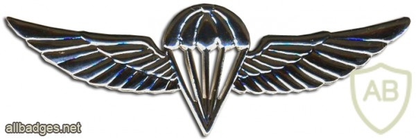 "Крылья" - Нагрудный знак парашютиста img31286