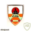 46th Shelah battalion- 401st Brigade img31401