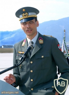 AUSTRIA Army (Bundesheer) - Air Force service wings, Officer / Pilot, bullion img31272