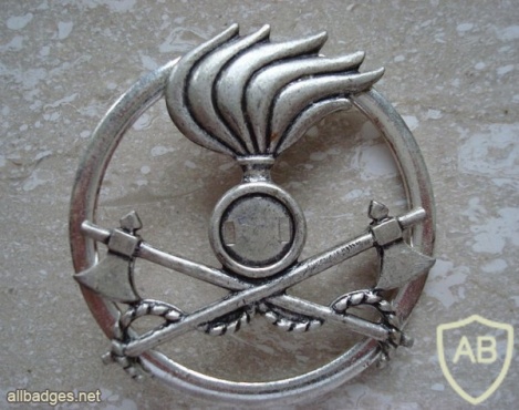 Italy Pioneers beret badge img31509