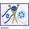דגל ישראל ודגל ההסתדרות הציונית העולמית img31485