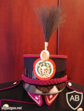 Italy Military Academy of Modena cap badge img31501