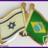 דגל ישראל ודגל ברזיל