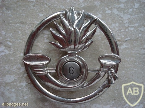 Italy 6th Cavalry Regiment beret badge img31496