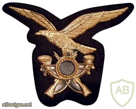 Italy Alpini troops cap badge img31515