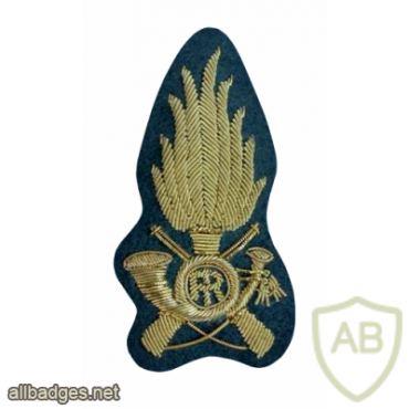 GDF cap badge, cloth img31525