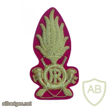 GDF command officers cap badge, cloth img31530