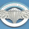 ARGENTINA Army Parachutist qualification wings, old type
