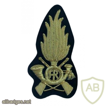 GDF cap badge, cloth img31526