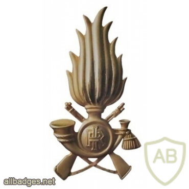 GDF cap badge, metal img31533