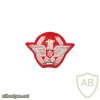 GDF Brigadier General and Divison General ranks cap badge, cloth