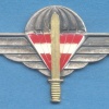 AUSTRIA Para-Commando (Jagdkommando) Parachutist wings img31523