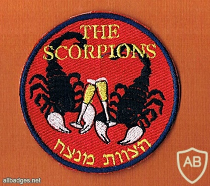 The Scorpion Squadron - 105th Squadron img31561